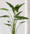 Artificial Alocasia Frydek