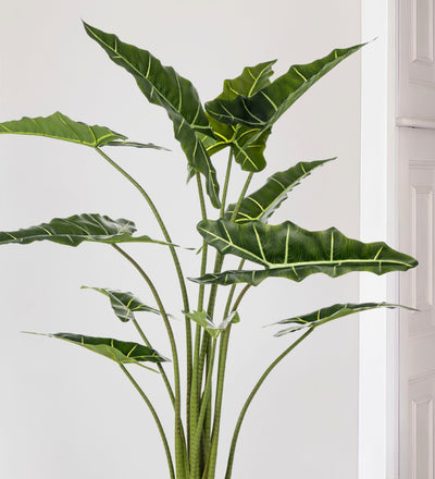 Artificial Alocasia Frydek