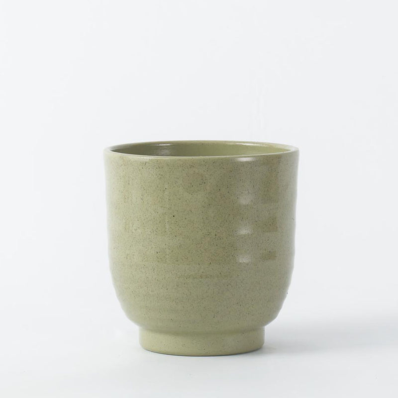 Green Ares Pot 14cm