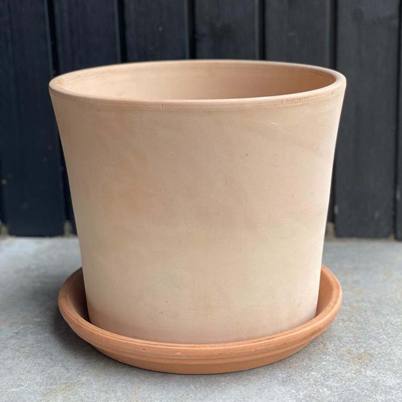 Contemporary Terracotta Pot with Saucer (16cm)