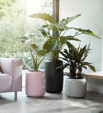 Elho Pure Bead Pot Medium Pink
