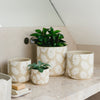 Beige Daisy Pot