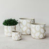 Beige Daisy Pot