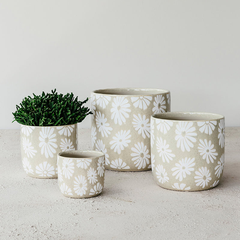 Beige Daisy Pot
