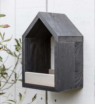 Bird Feeder