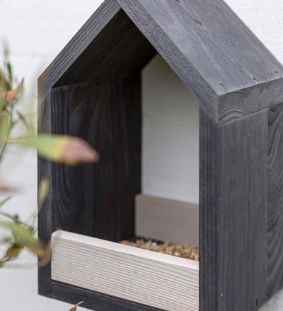 Bird Feeder