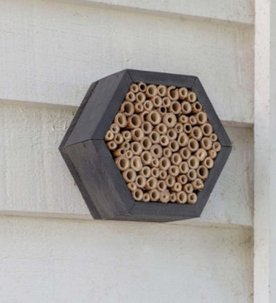 Bee House
