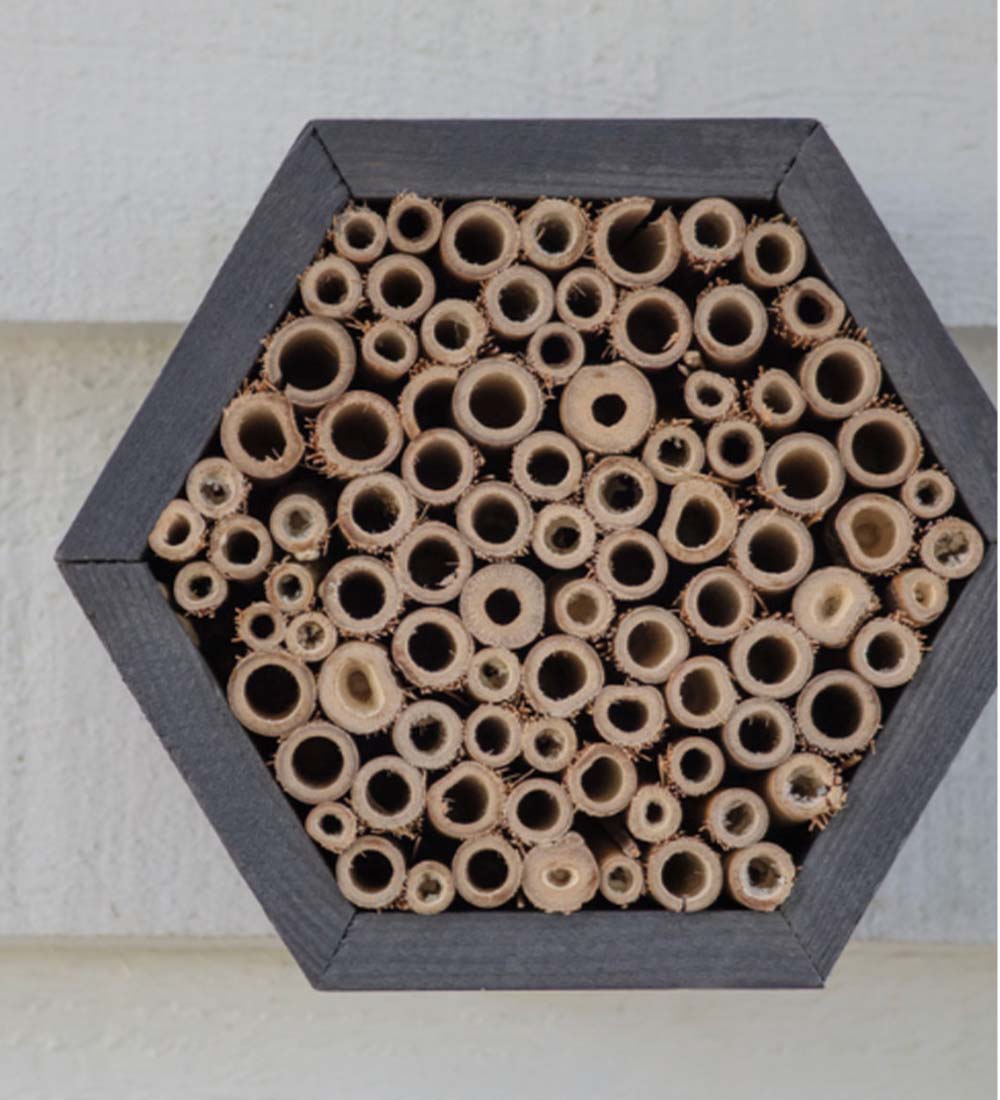 Bee House