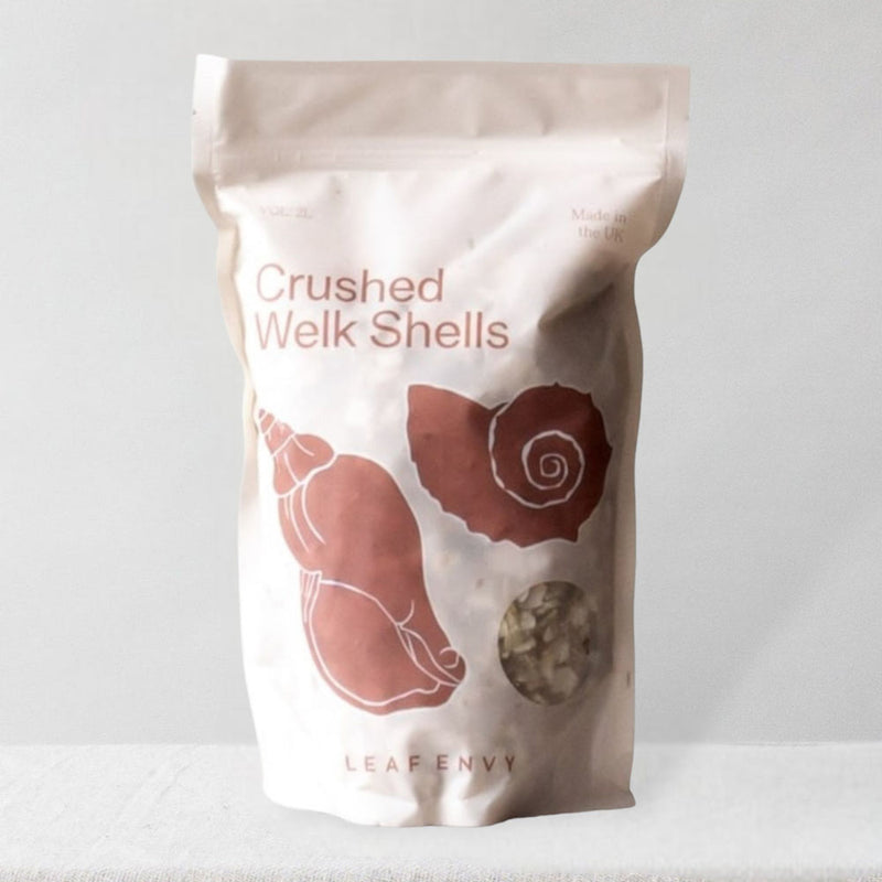 Crushed Welk Shells