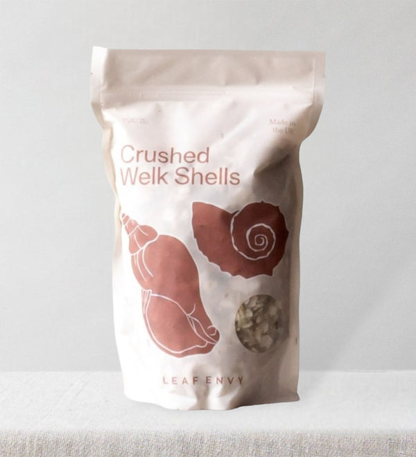 Crushed Welk Shells