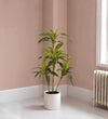 Artificial Dracaena