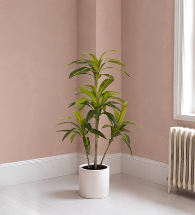 Artificial Dracaena