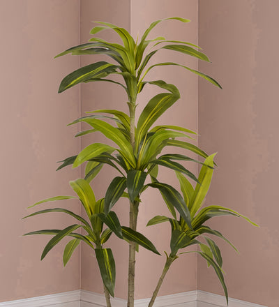 Artificial Dracaena