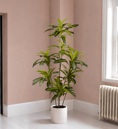Artificial Dracaena