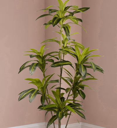 Artificial Dracaena