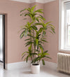 Artificial Dracaena