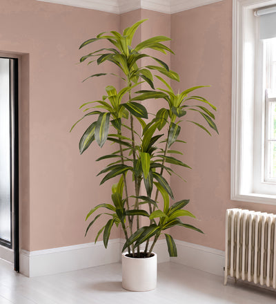 Artificial Dracaena