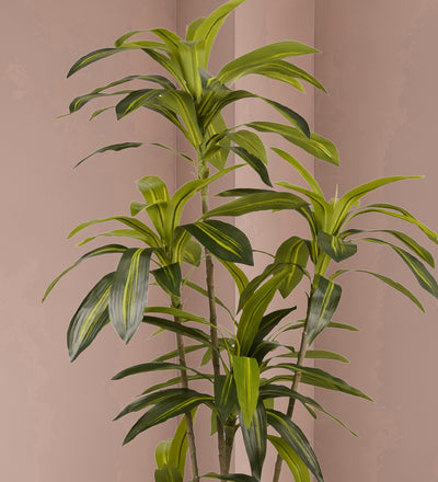 Artificial Dracaena