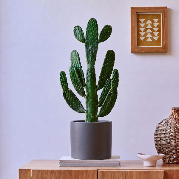 Graphite Earthenware Pot (21cm)