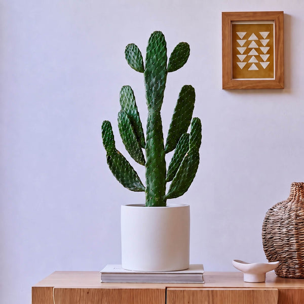Oyster Earthenware Pot (21cm)