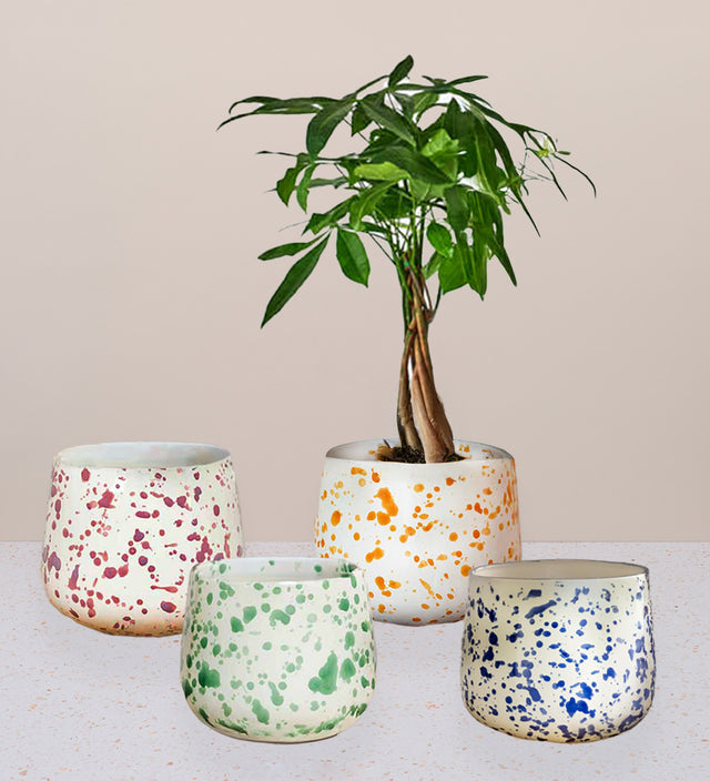 Splatter Pot x Hot Pottery