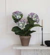 Artificial Hydrangea & Grey Pot