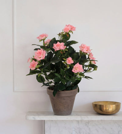 Artificial Rosebush & Grey Pot
