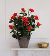 Artificial Rosebush & Grey Pot