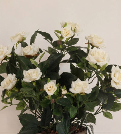 Artificial Rosebush & Grey Pot