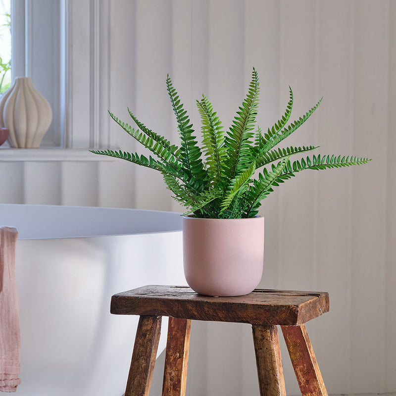 Artificial Graphite Earthenware XL Bundle