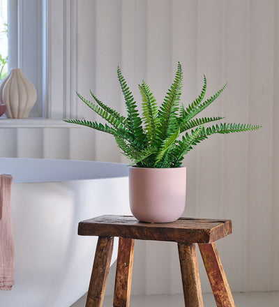 Artificial Graphite Earthenware Desktop Bundle