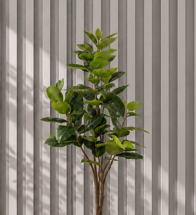 Artificial Rubber Plant