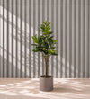 Artificial Rubber Plant