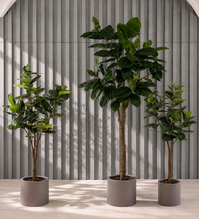 Artificial Rubber Plant
