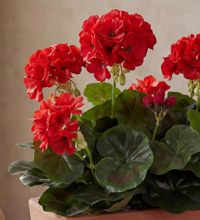 Artificial Geranium & Balcony Pot