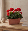 Artificial Geranium & Balcony Pot