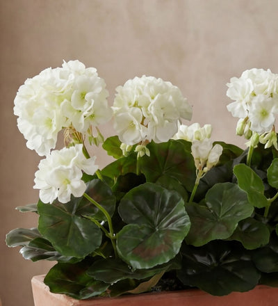 Artificial Geranium & Balcony Pot