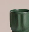 Matt Ribbed Ceramic Pot