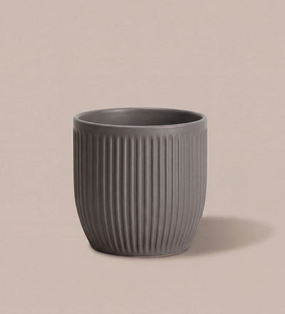 Grey Matt Ribbed Ceramic Pot (13cm)