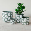 Khaki Daisy Pot