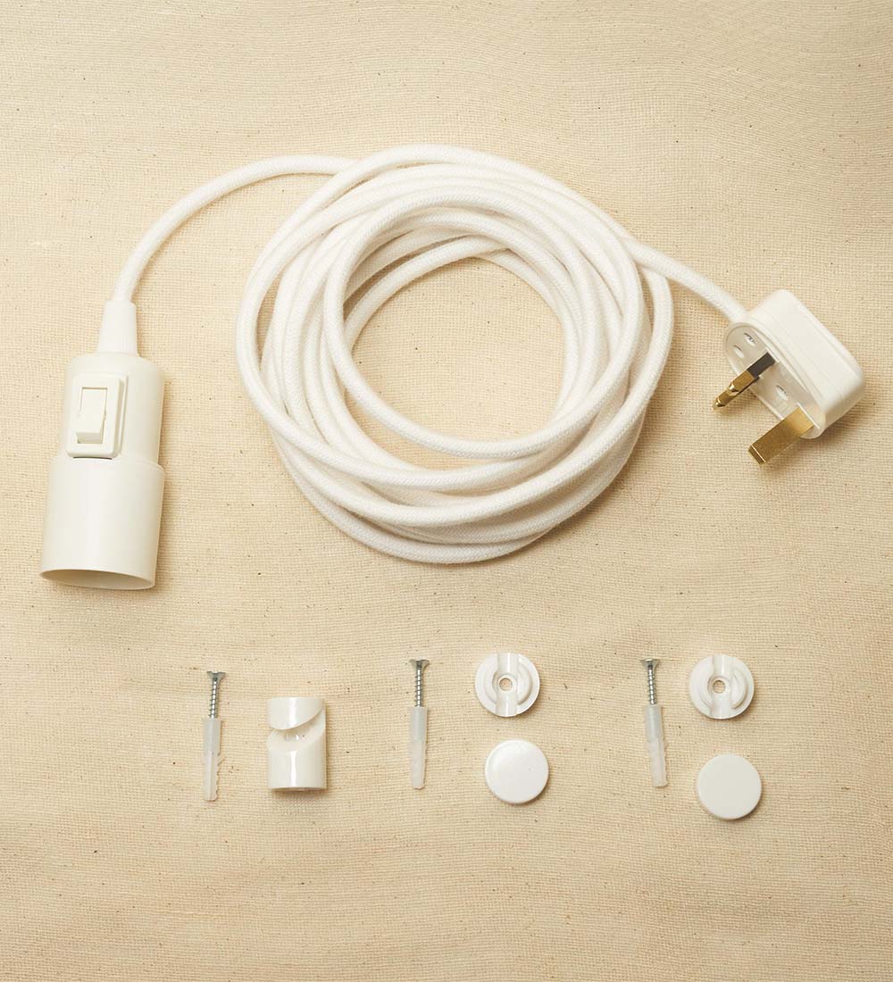 Plug-in Ceiling Pendant and Hook