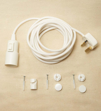 Plug-in Ceiling Pendant and Hook
