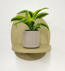 Taupe Pot