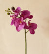 Artificial Magenta Orchid & Pot