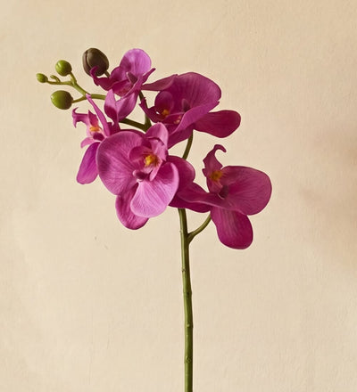 Artificial Magenta Orchid & Pot
