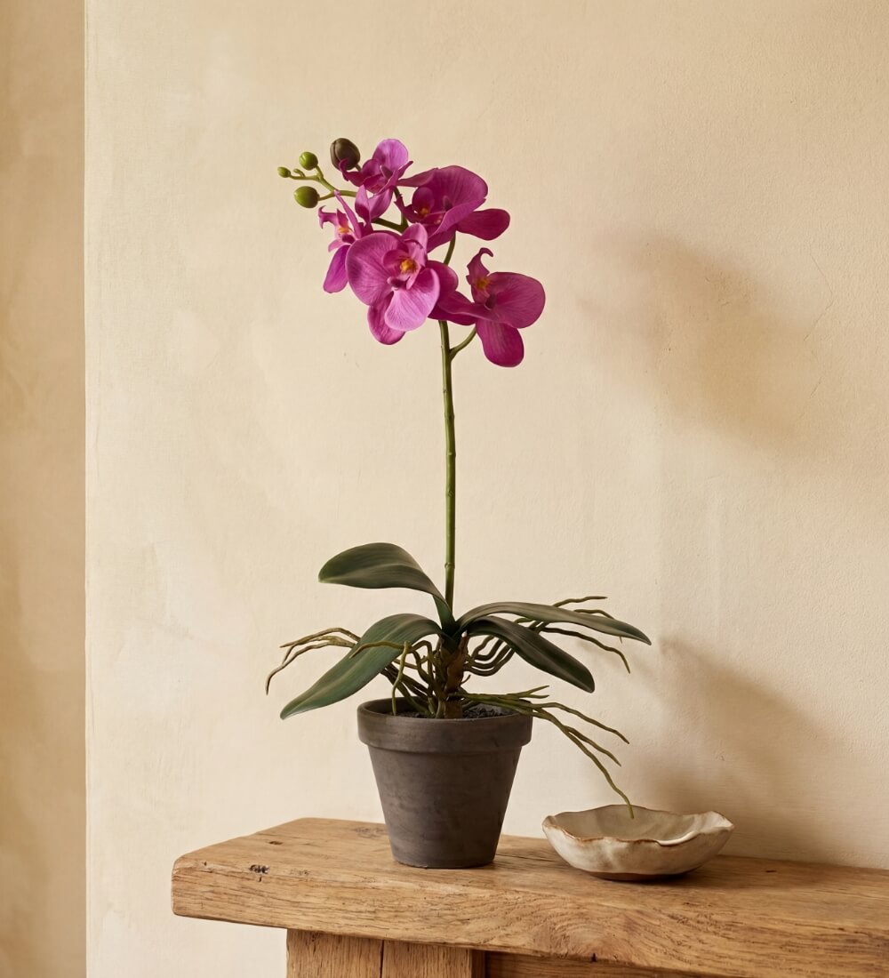 Artificial Magenta Orchid & Pot