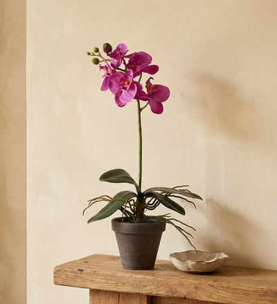 Artificial Magenta Orchid & Pot