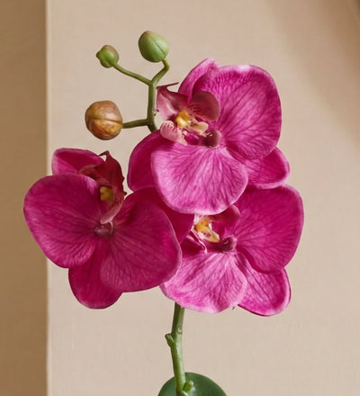 Artificial Magenta Orchid & Pot