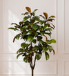Artificial Magnolia Tree