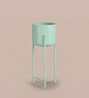Large mint pot on stand